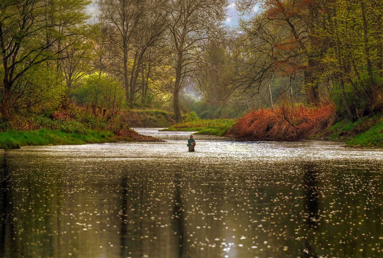 Bernadette Chiaramonte, Fisherman